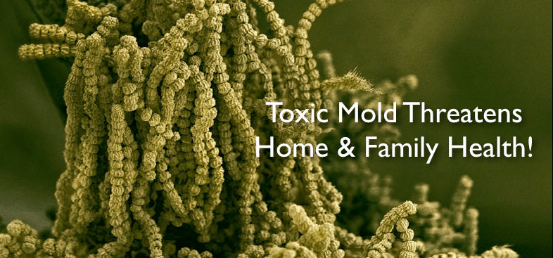 Toxic Black Mold Symptoms